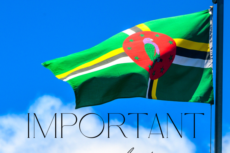 99219763-C876-4DA9-A3F3-28789BFB30F0